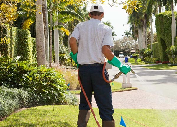 About Shelbyville IL Pest Control
